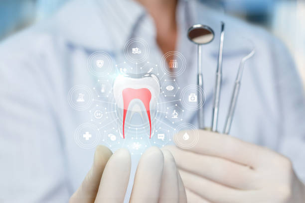 Northern Cambria, PA Dental Services Company